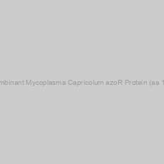 Image of Recombinant Mycoplasma Capricolum azoR Protein (aa 1-199)